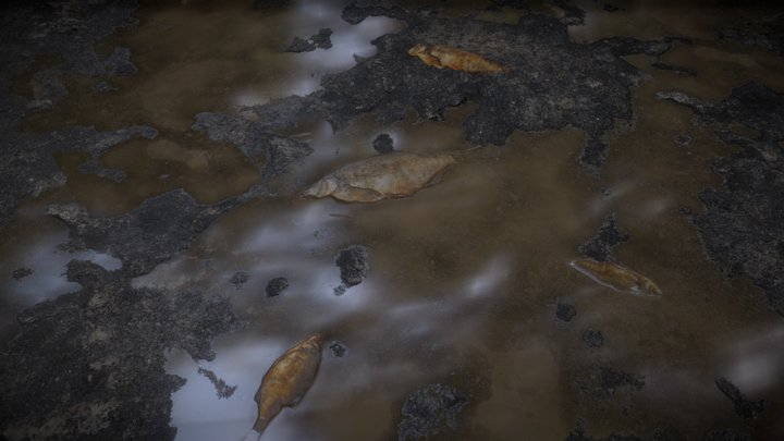 DRY_FISH_MATERIAL 3D Model