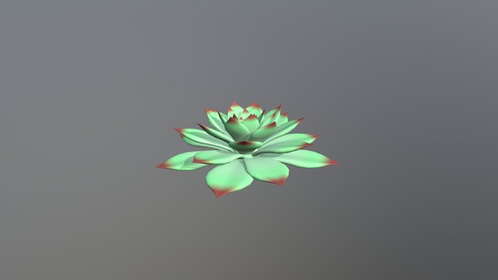 Stylized Succulent 3D Model