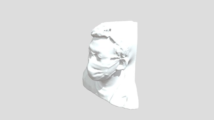 Asano 3D Scanned 3D Model