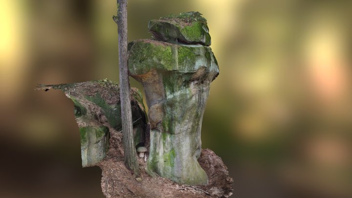 7 m vysoký skalní hřib ve svahu Salašského údolí 3D Model