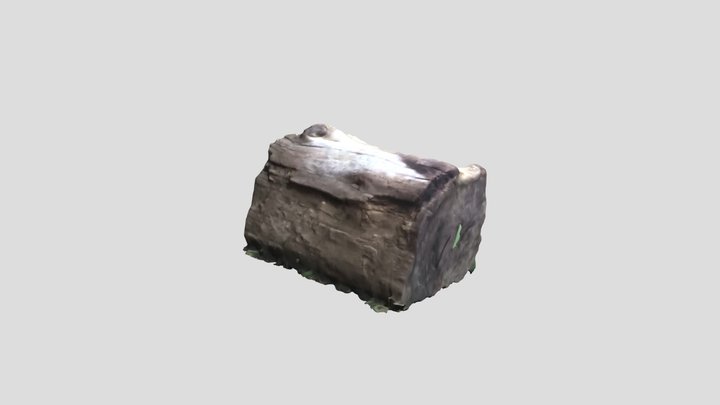 Izumi no Mori log 3D Model