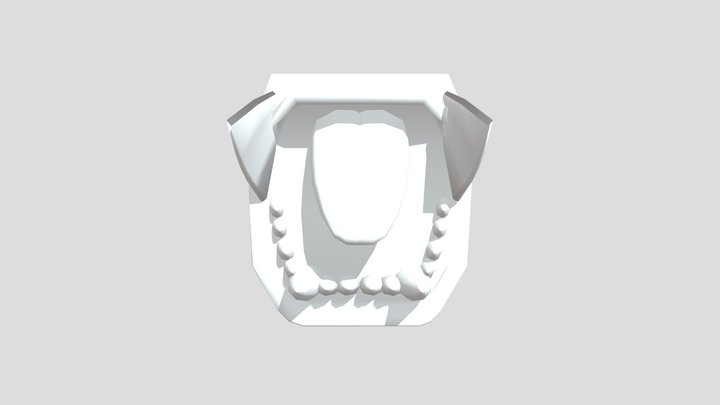 Torso 3D Model