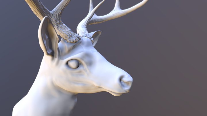 Deer 3D Model