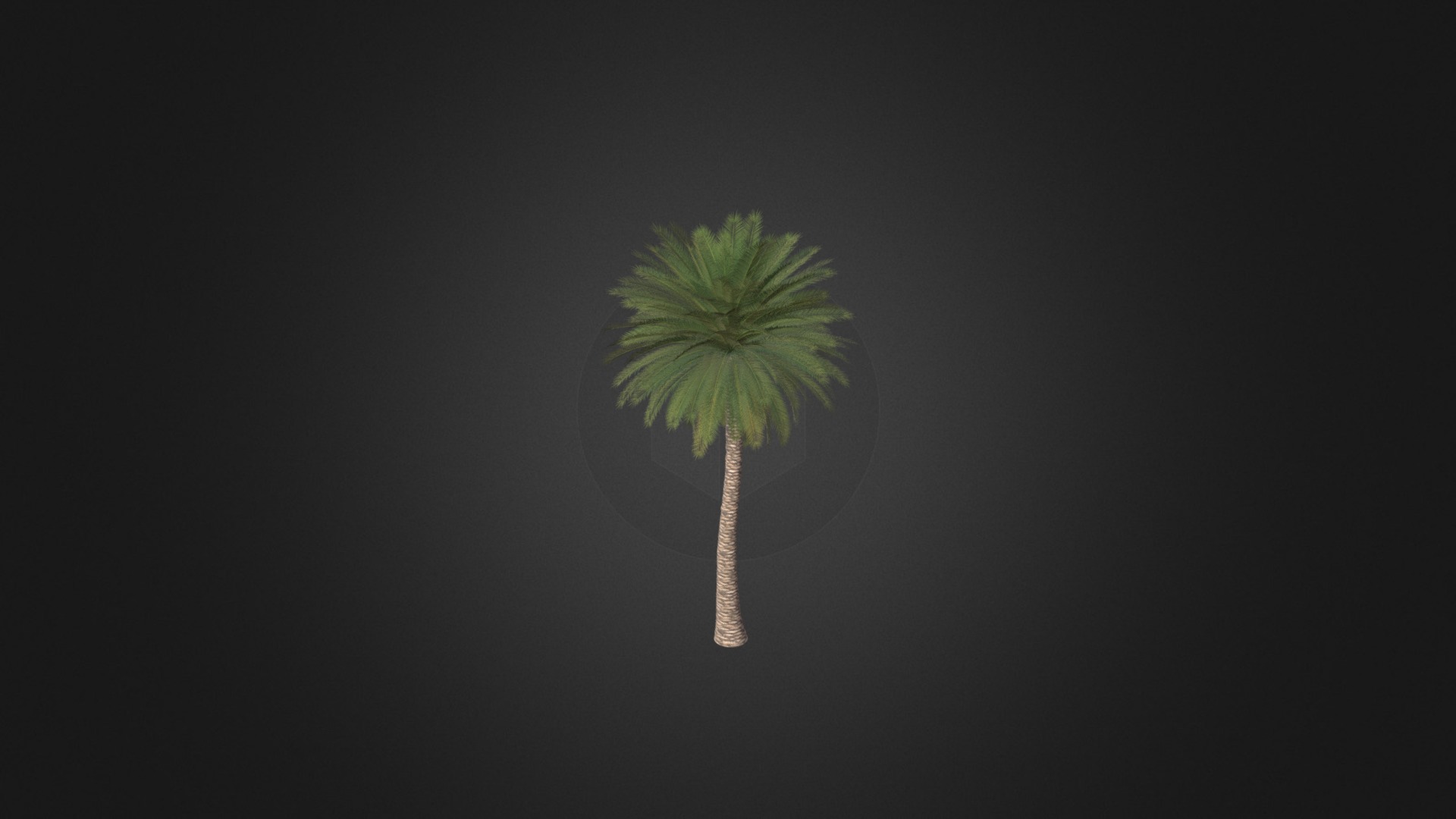 3D model Canary Island Date Palm - This is a 3D model of the Canary Island Date Palm. The 3D model is about a green leaf on a stick.