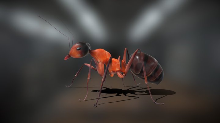 Fire Ant 3D Model