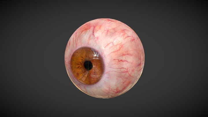 Human Eye (animated, photorealistic textures) 3D Model