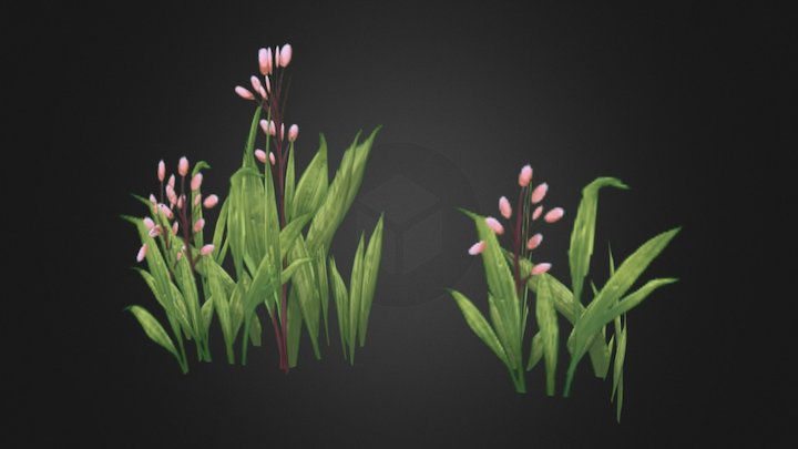 Flowers 3D Model