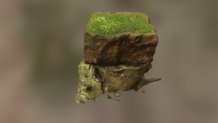 Brick with Moss 3D Model