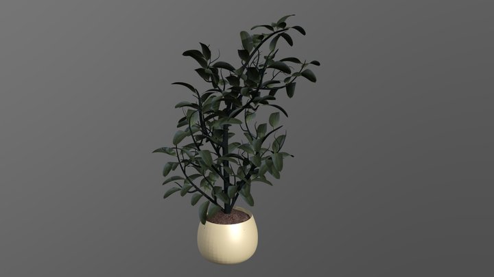 Desk Plant 3D Model