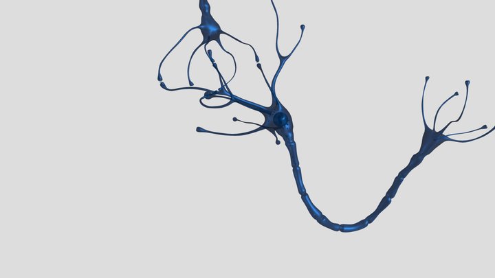 Neuronsk 3D Model