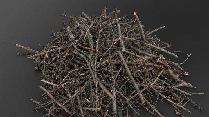 Tree branches pile 3D Model