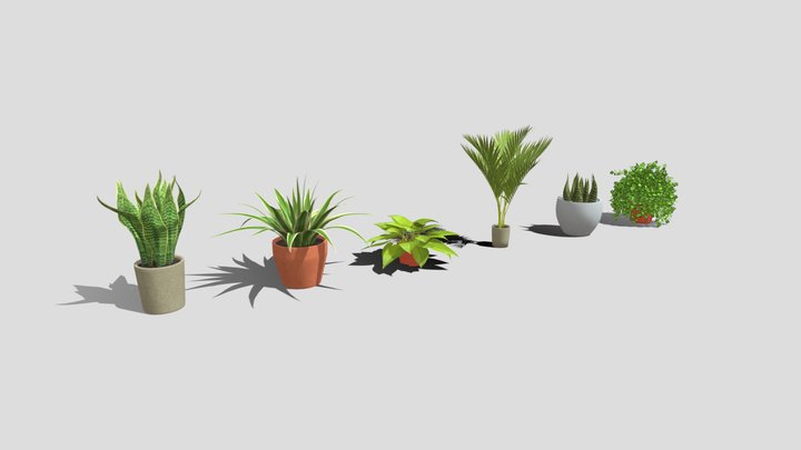 Low poly plants pack 3D Model