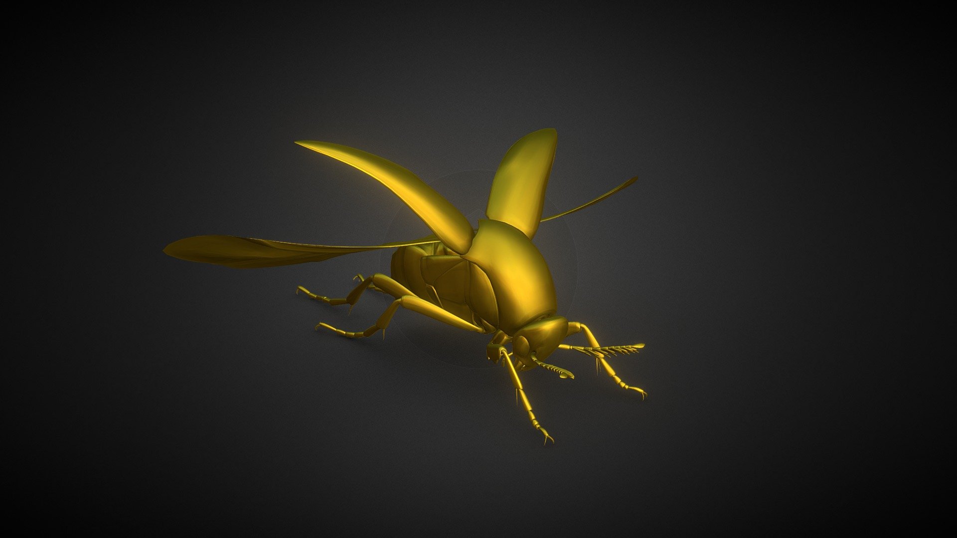 Mordellidae