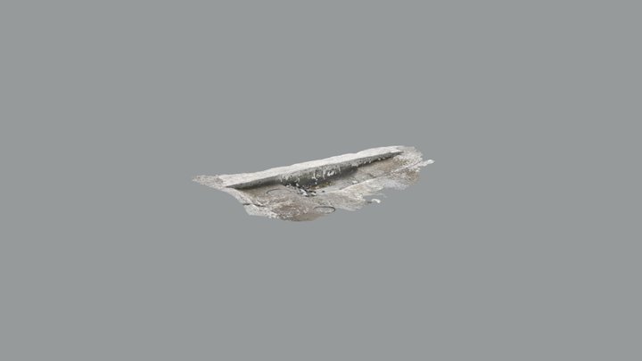 Scaniverse Model 3D Model