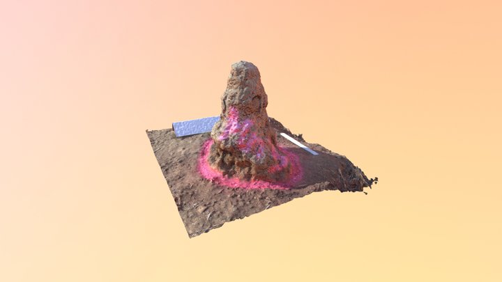 Termite mound Ms3-2017 3D Model