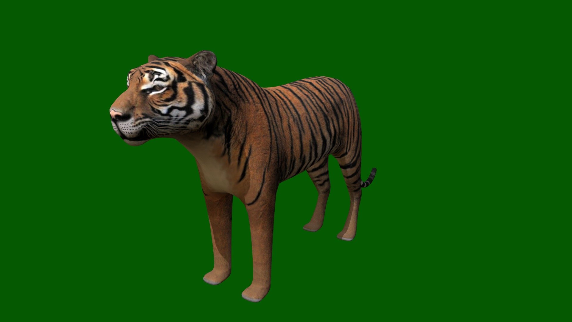 Tiger LP - Download Free 3D model by kenchoo [6aea5fb] - Sketchfab