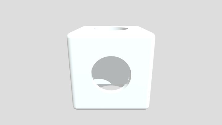 Cube Sak Med Sak I V4 3D Model