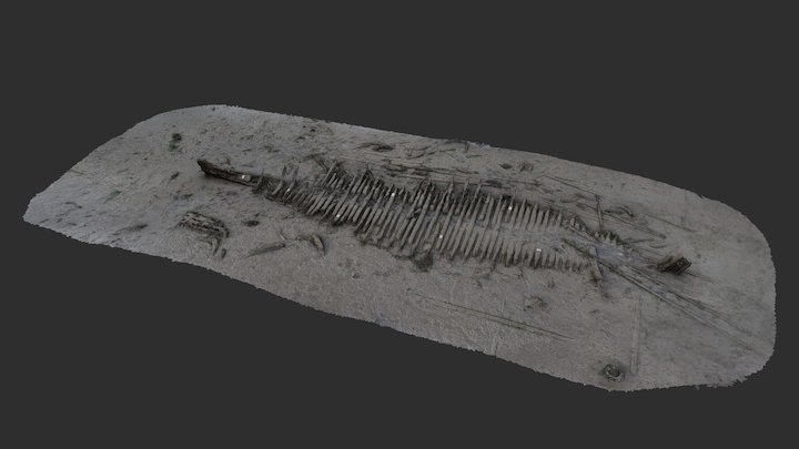 Northam bridge wreck 3D Model