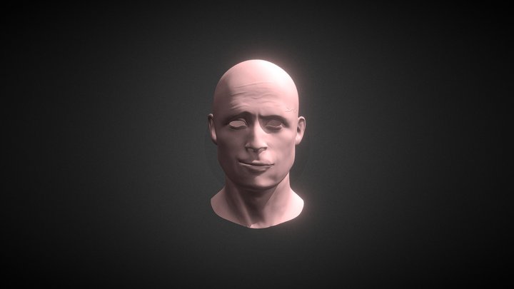 Mattias Schoenaerts 3D Model