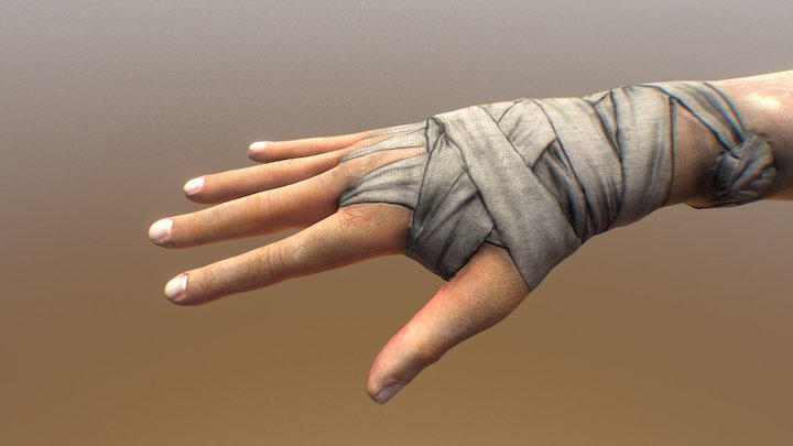 Hand and bandage 3D Model