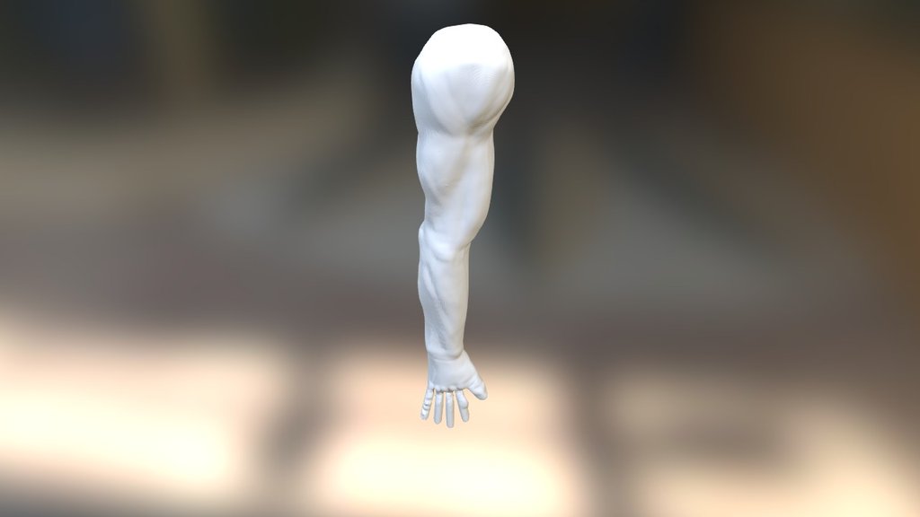 3 - Arm - 3D model by jmcdesign [6af3b87] - Sketchfab