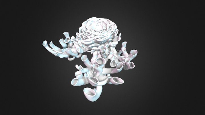 Retículo Endoplasmático 3D Model