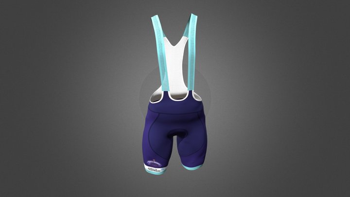 VE0201 3D Model