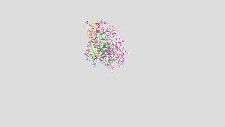 Spike protein interaction with the ACE2 protein 3D Model