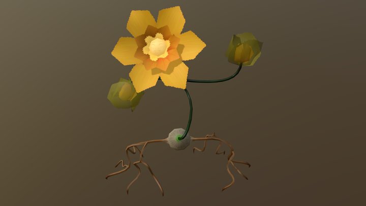 Daffodil Dancin' 3D Model