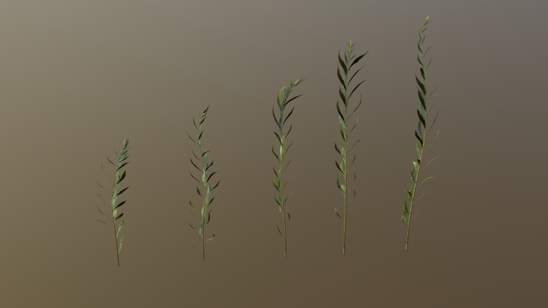 3D model Goldenrod Pack - This is a 3D model of the Goldenrod Pack. The 3D model is about a group of green plants.