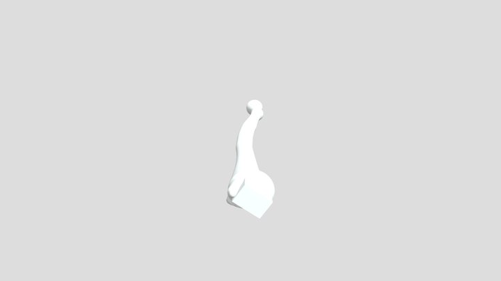 Bone + Metal Plate 3D Model