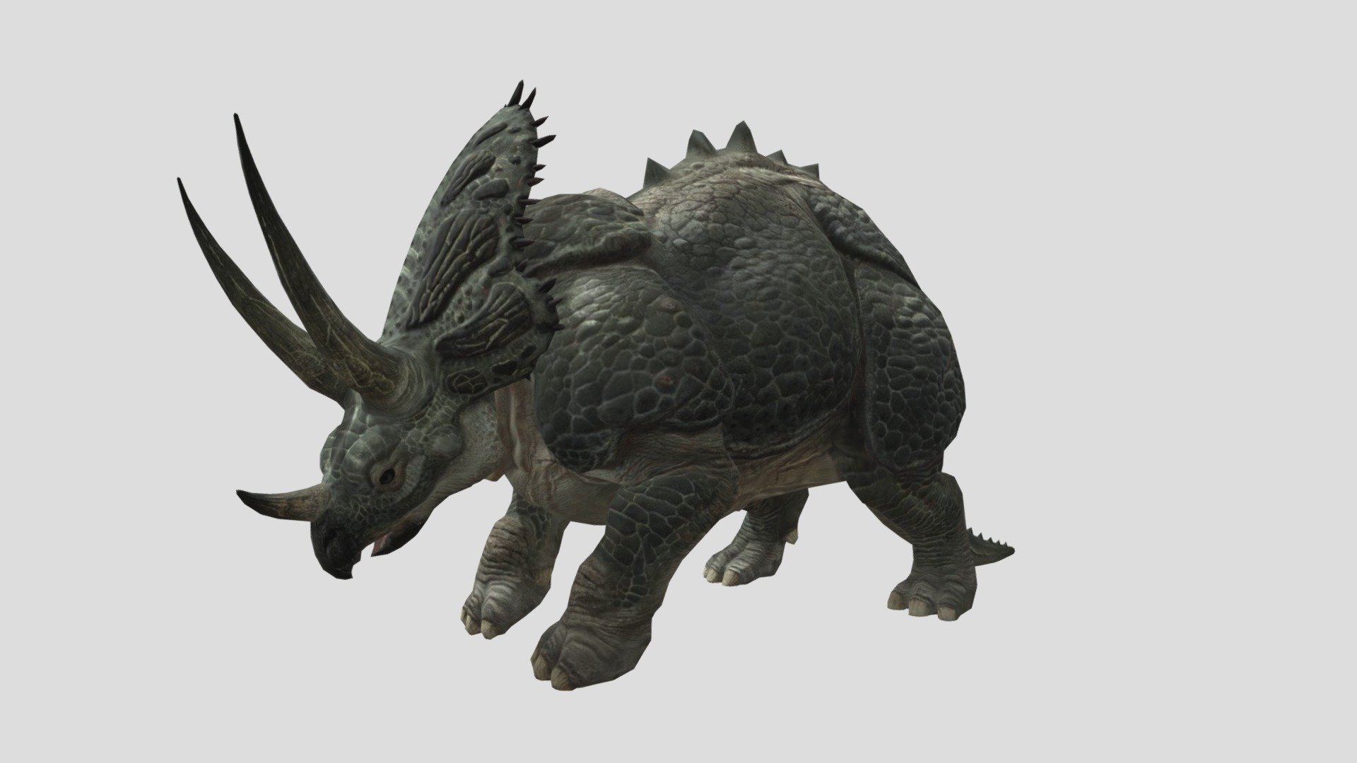 Tricera Download Free 3d Model By Seth The Yutyrannus