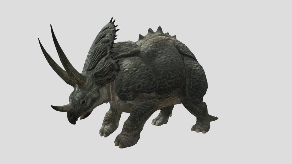 TRICERA