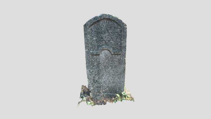 4 3D Model