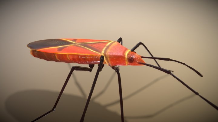 Firebug 3D Model