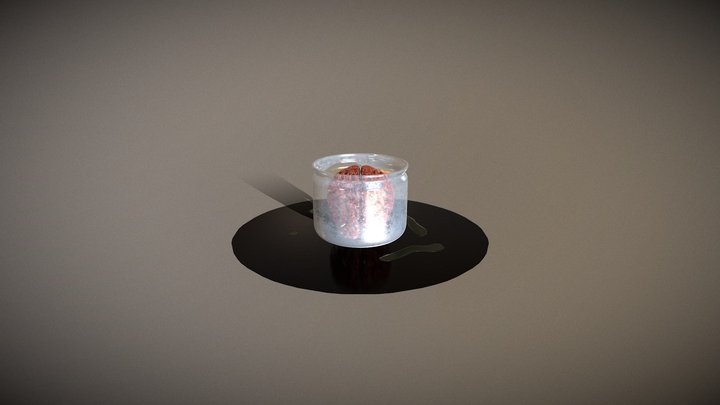 Brain Jar 3D Model
