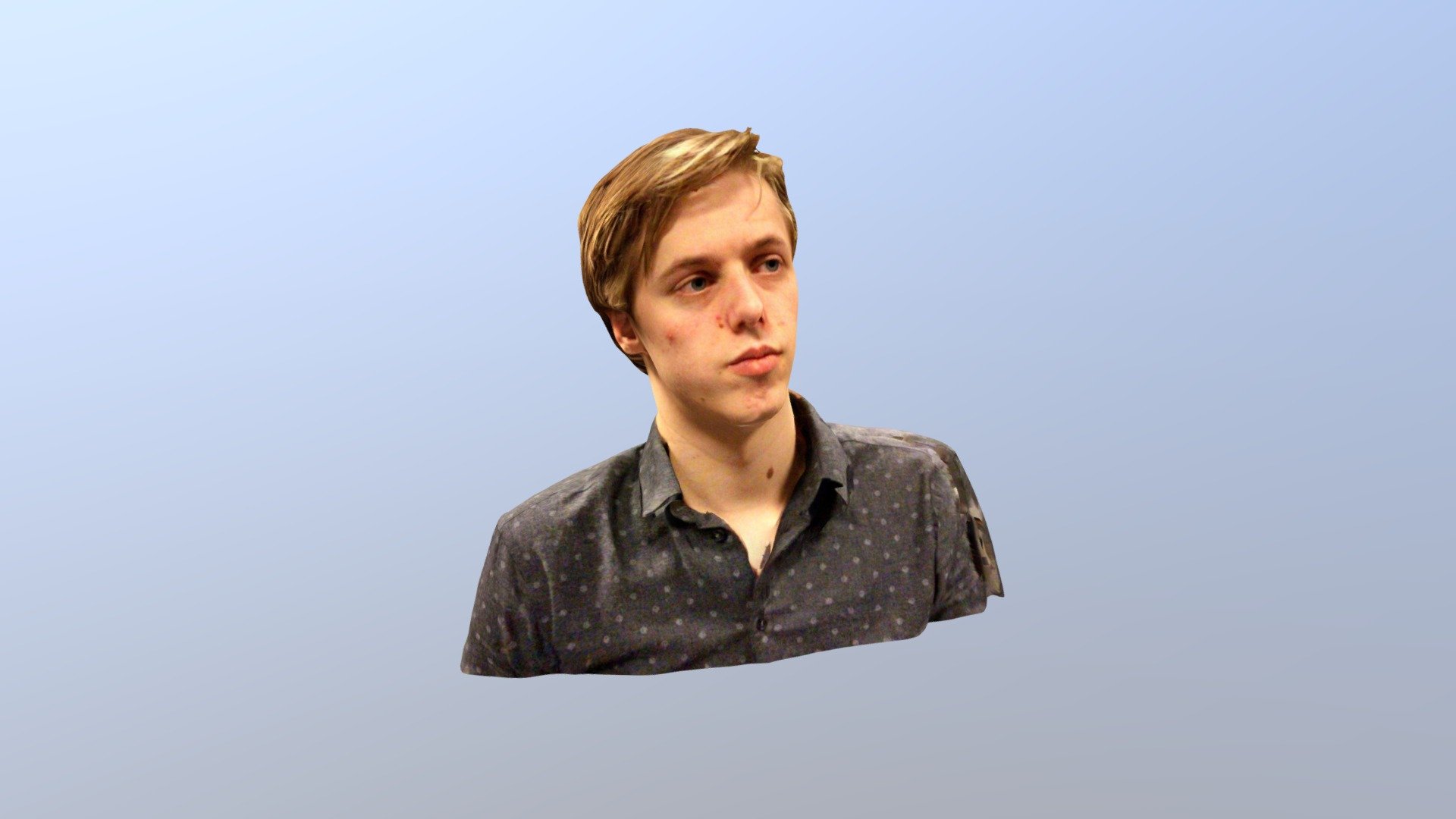 Bust