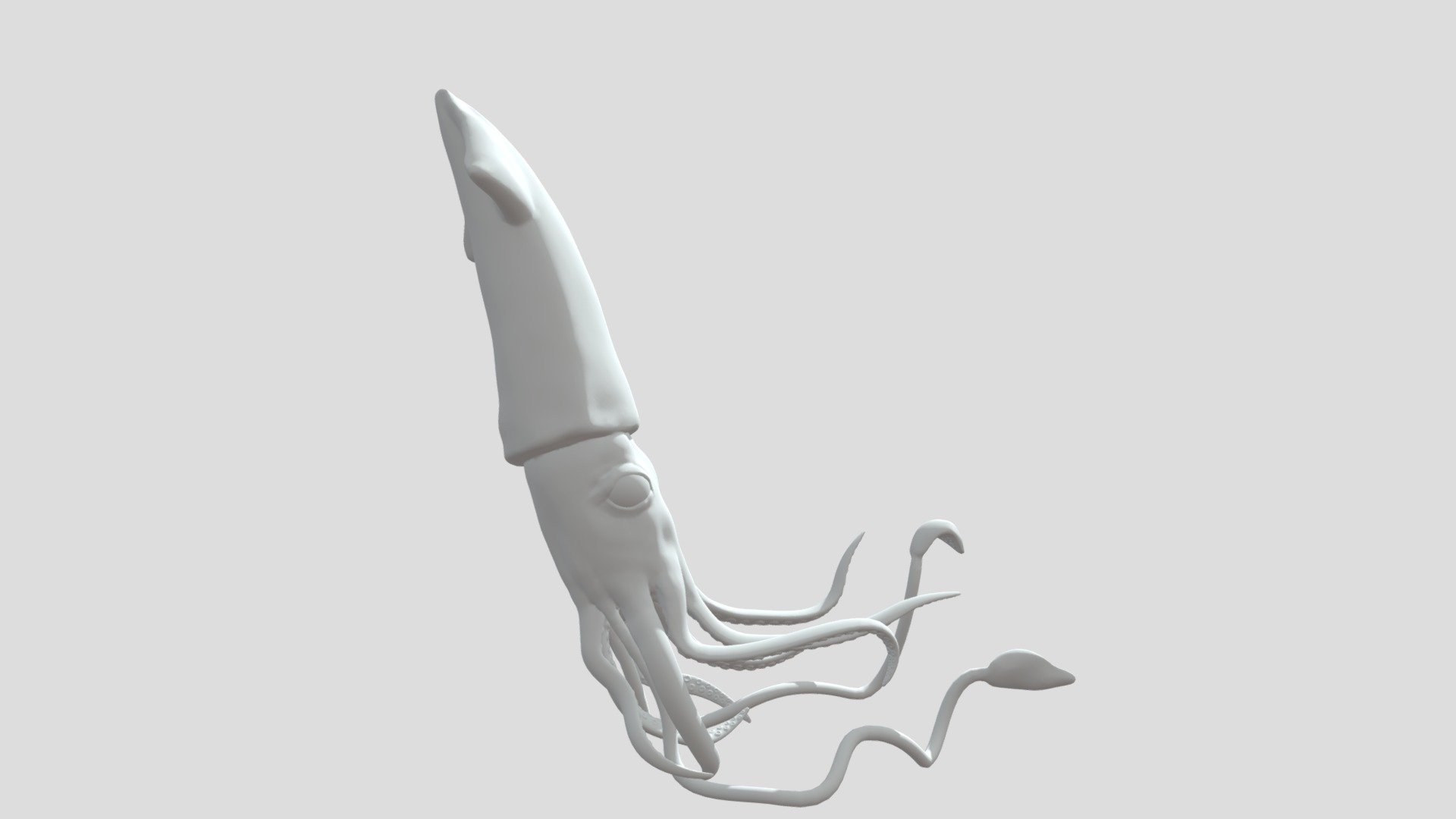 Giantsquid - Download Free 3D model by hunter.4u88 [6b10bb7] - Sketchfab