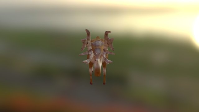 Andrew Block Moose 3D Model
