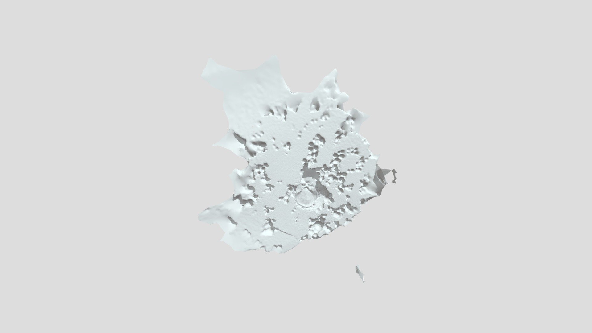 Muschel — Sketchfab embed 3D viewer