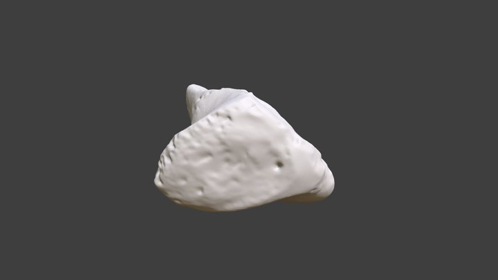 Left Hamate 3D Model