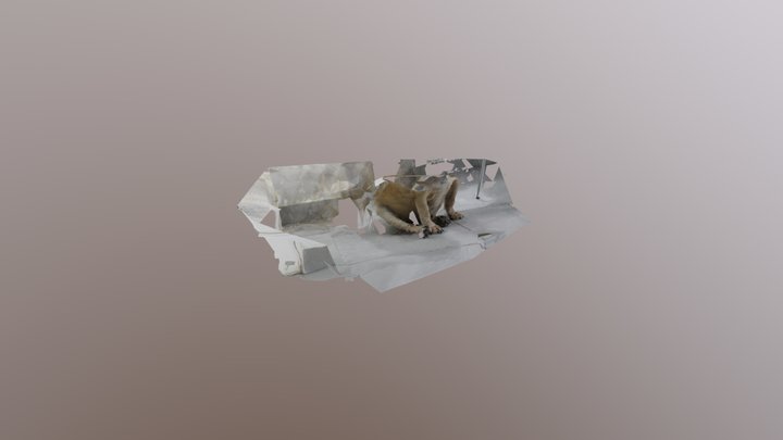 Sin cabeza (proceso) 3D Model