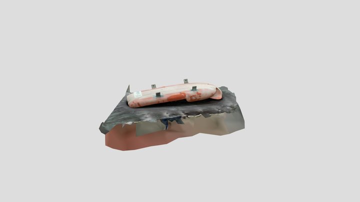 Luge 1 3D Model