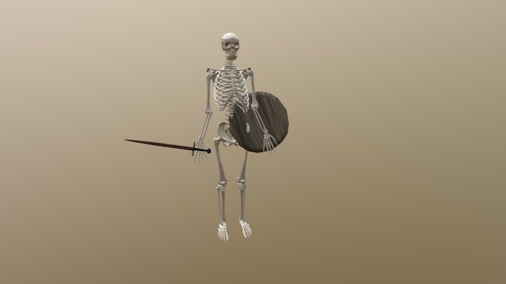PSBF Skeleton 3D Model