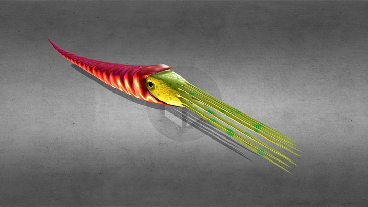 Prehistoric Squid Baculite 3D Model