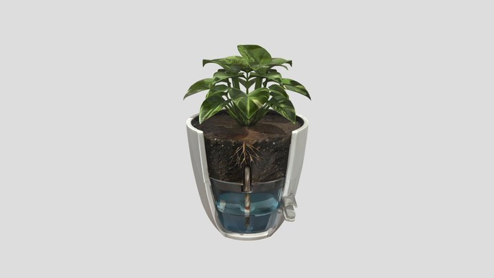 Self-watering potted houseplant 3D Model