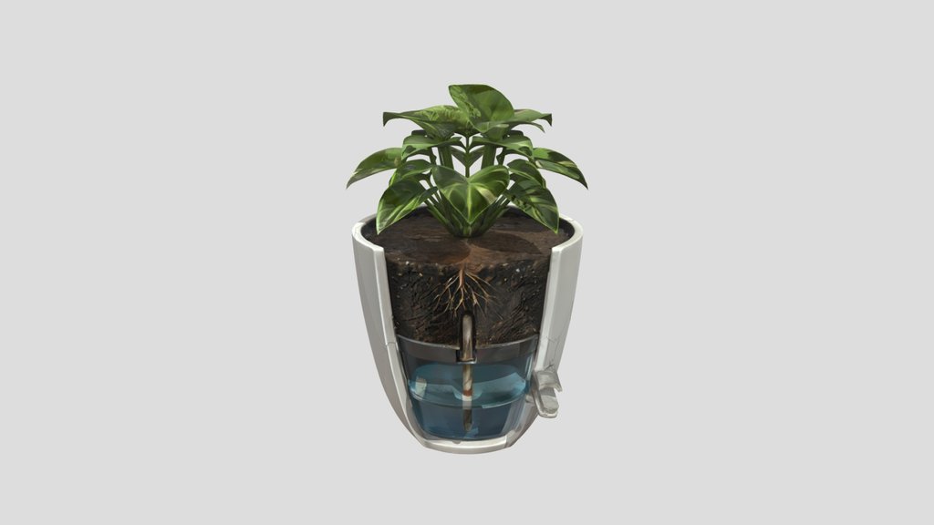Self-watering potted houseplant