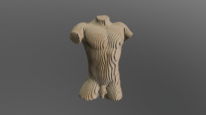 Male Torso 3 21 58 3D Model