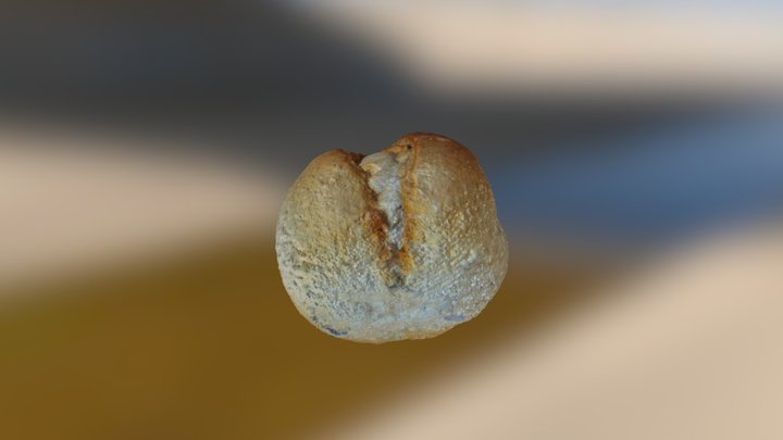 Photoscan Brötchen 2 3D Model