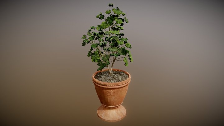 Potted Plant 03